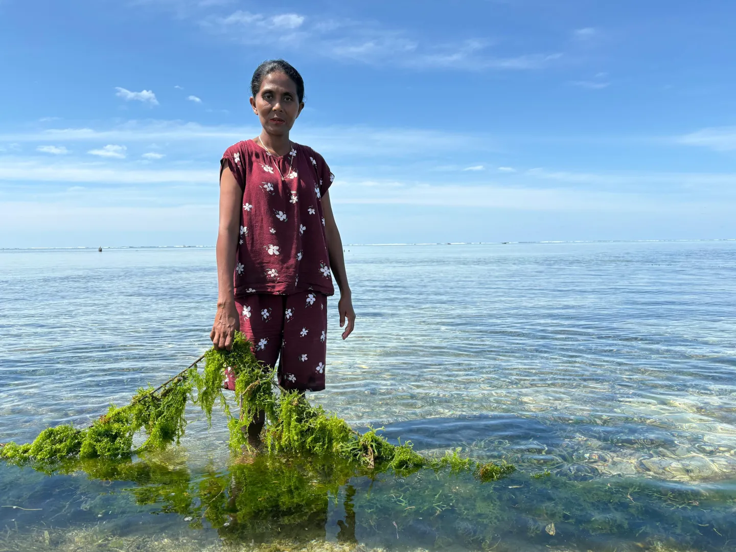 Female seaweed farmer