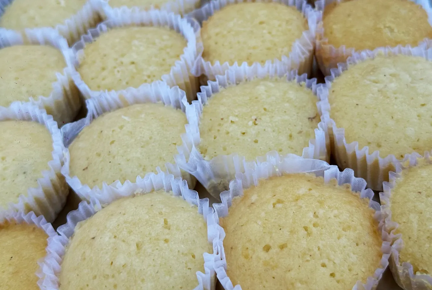 coconut muffins