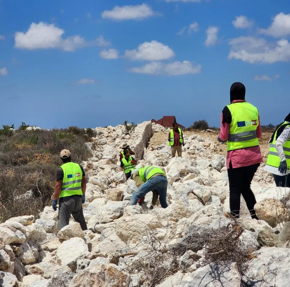 Workers build stone terraces to protect farmland and improve cultivation.