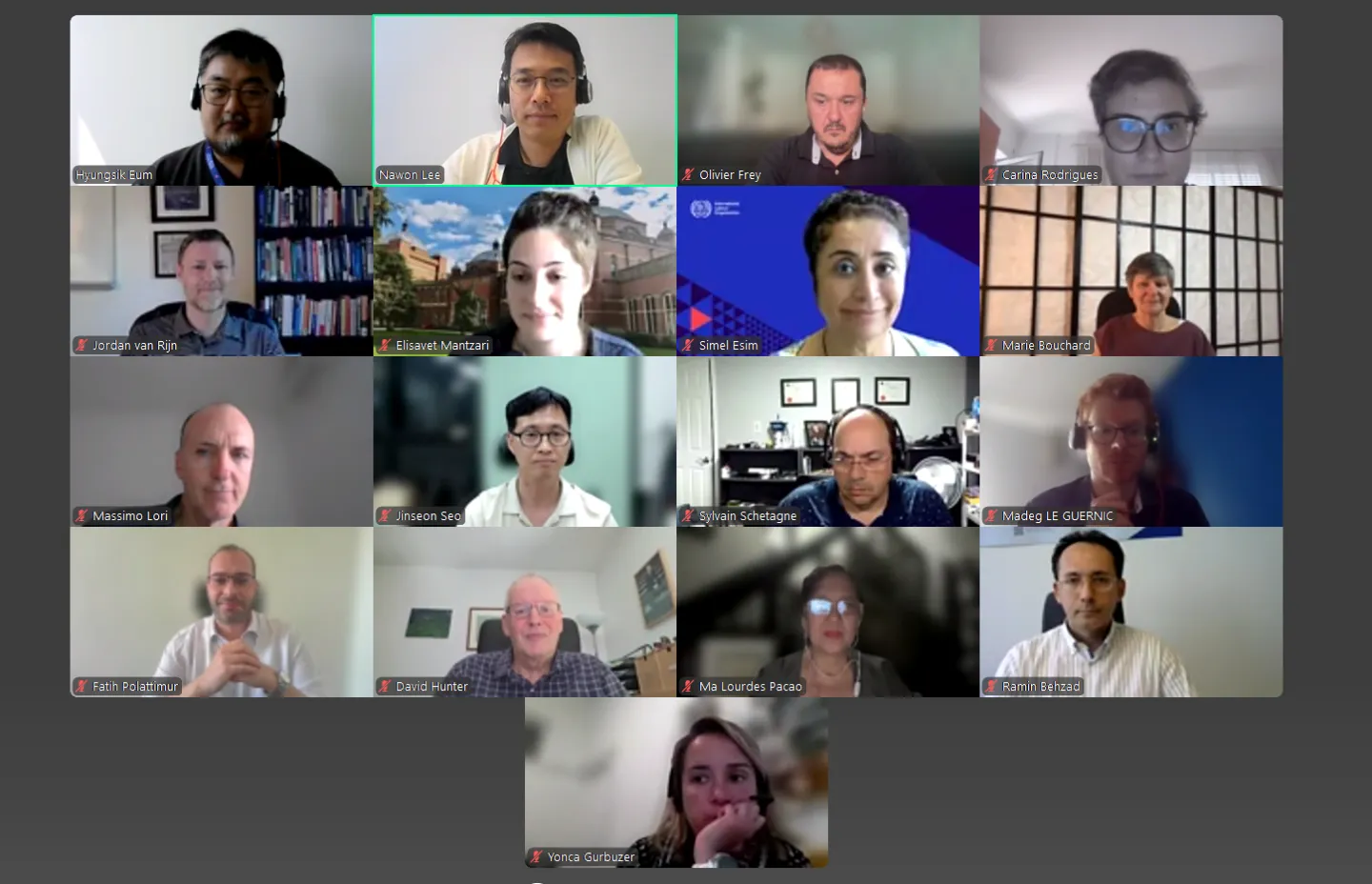 Technical Working Group (TWG) on Statistics on cooperatives and the broader social and solidarity economy (SSE)