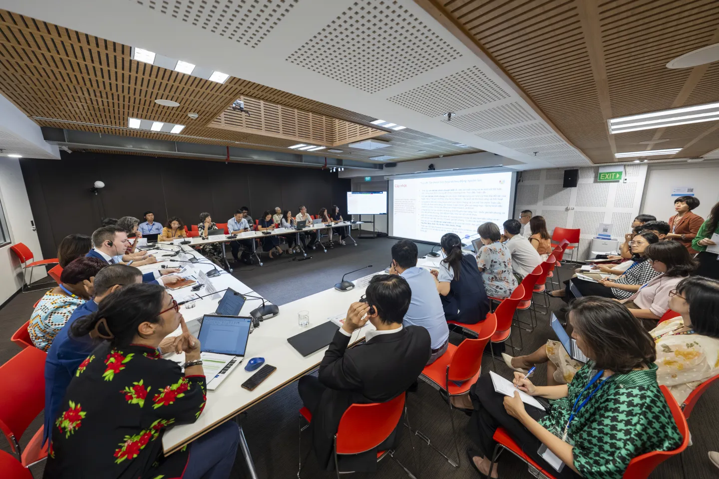 Overview of the consultation meeting