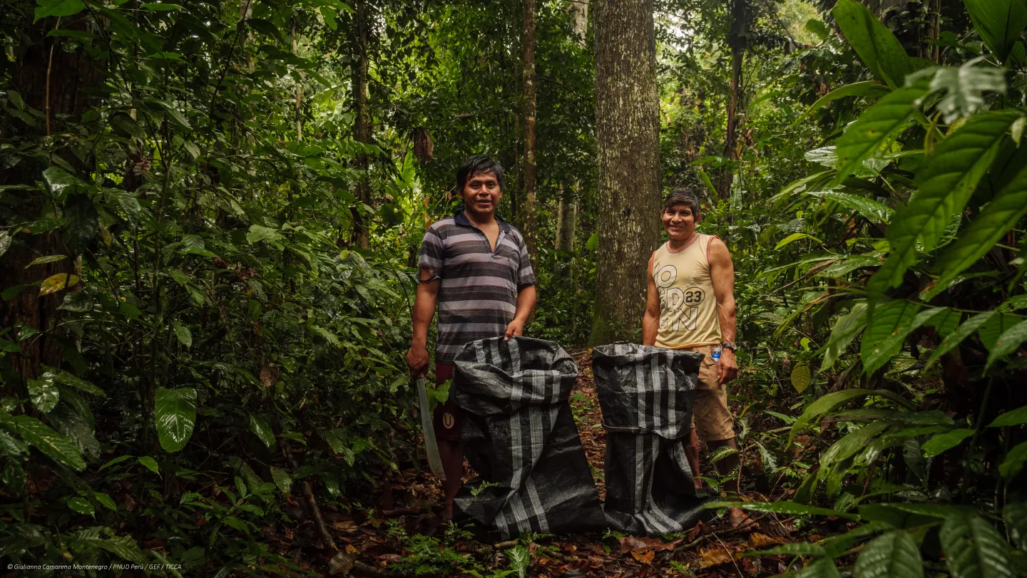 Two men at Amazonian border harvesting nuts