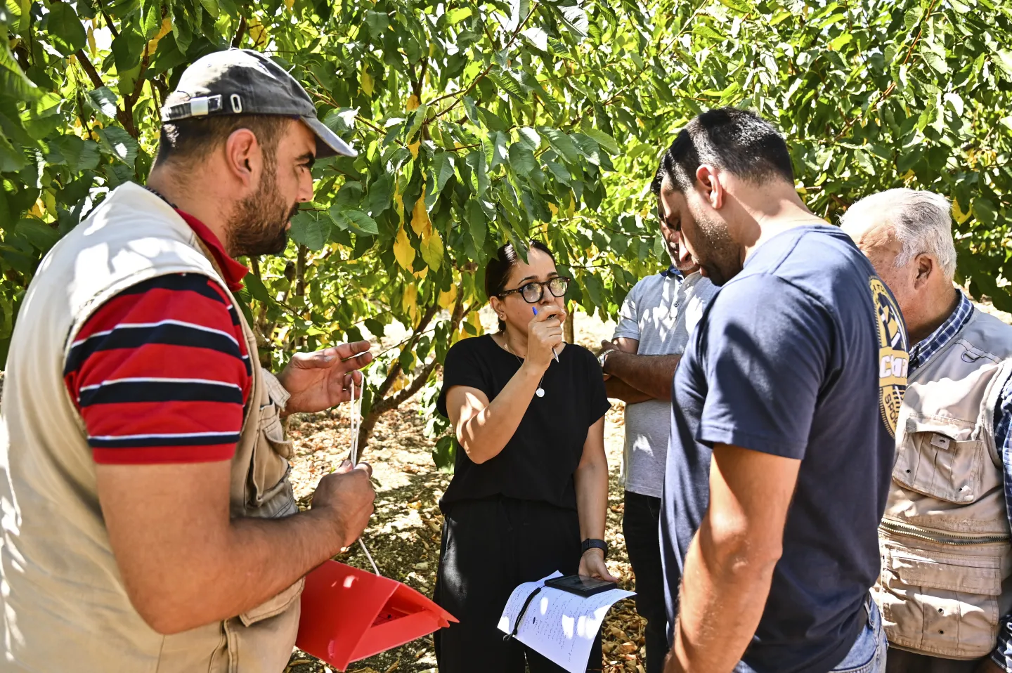 Roula Mallo, Ministry of Agriculture Extension Agent, speaking to local cherry farmers on the usage and benefits of the fly trap. Wadi Al Arayesh, Lebanon, August 2025