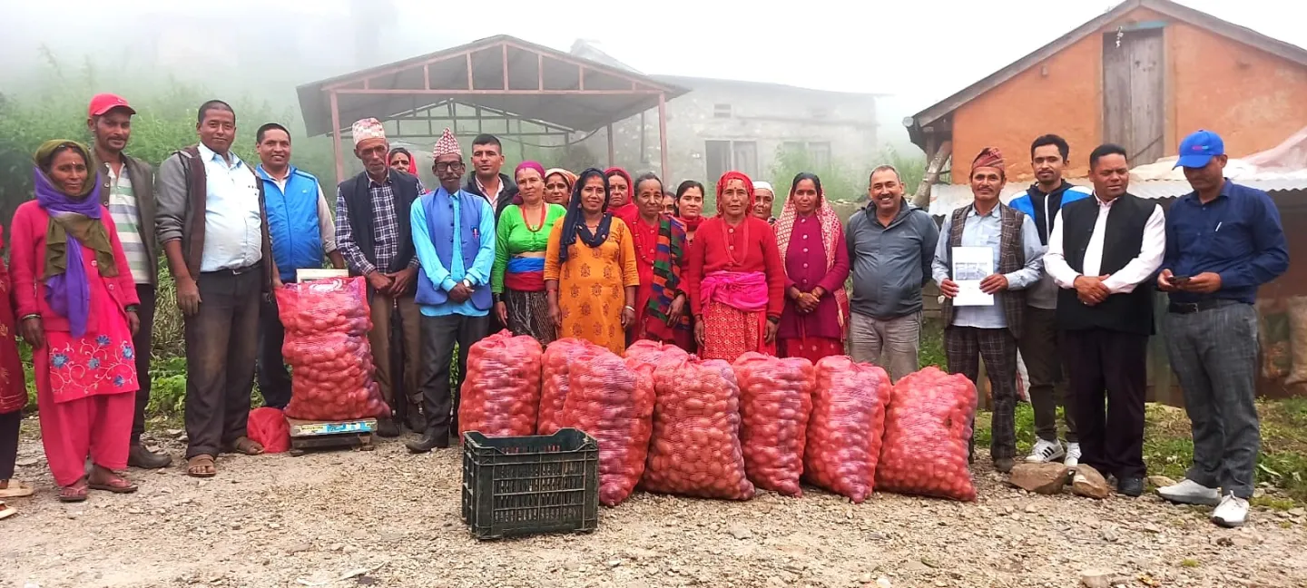 The all-women Juneli Farmers Group with their community and potato crops.