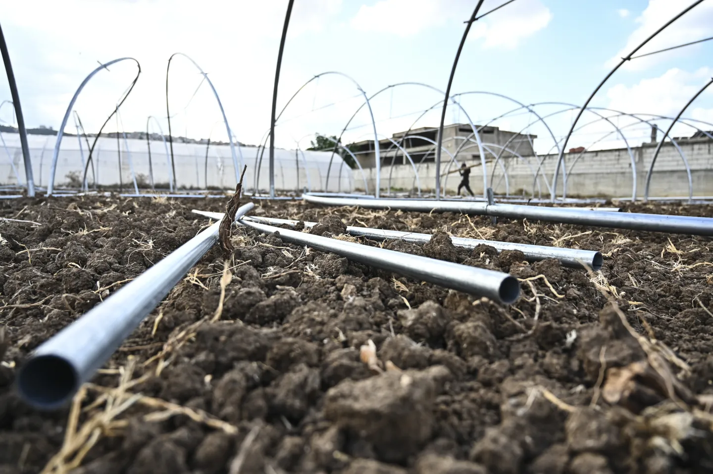 Metal tubes prepared for assembling a greenhouse structure on a site in Akkar, northern Lebanon. 