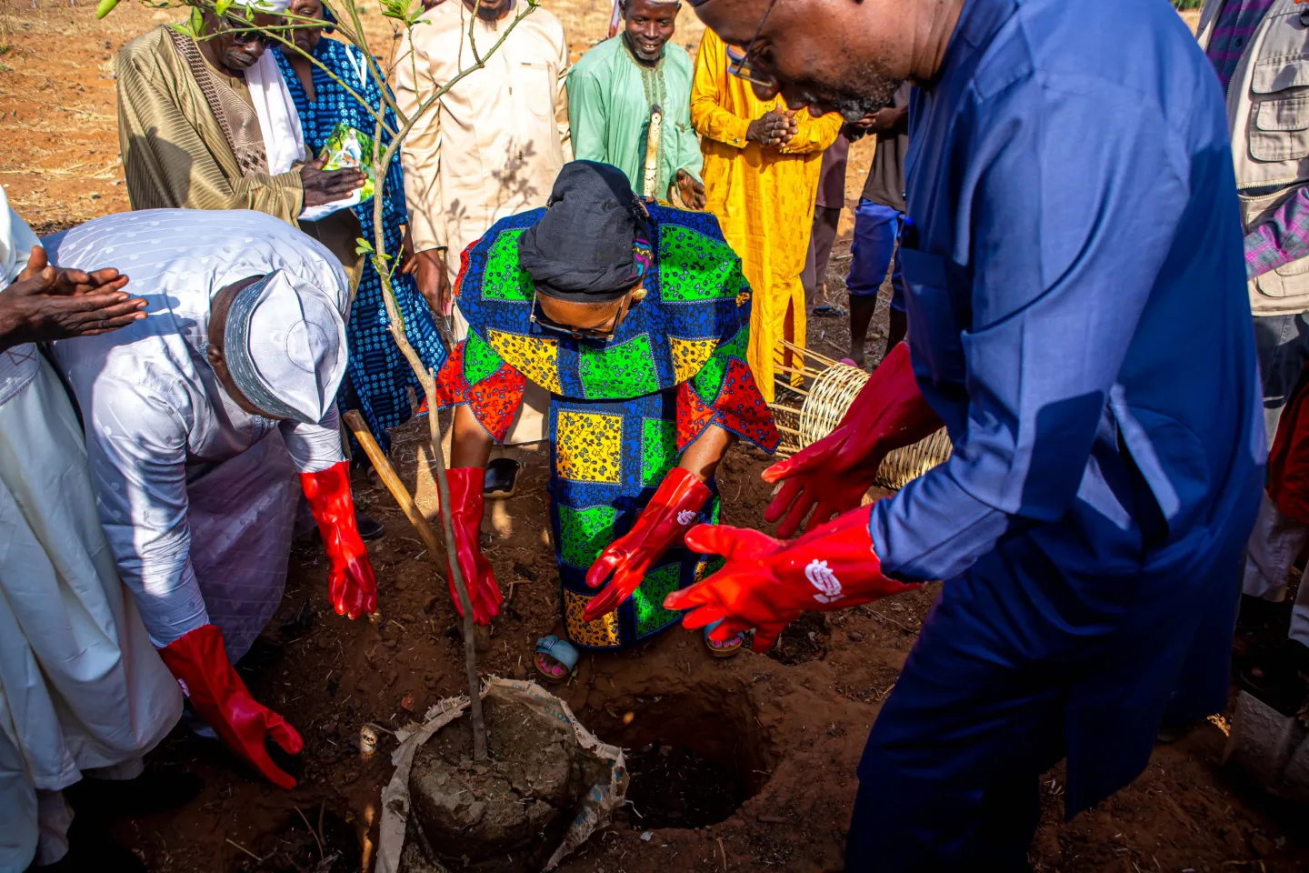 A group of men and women wearing red gloves plant a young tree together in a rural area, surrounded by community members