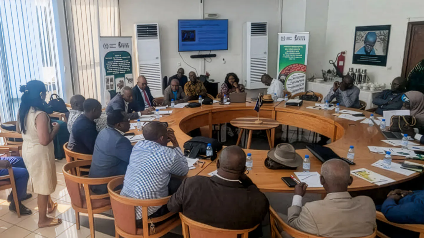 Participants à un atelier de l’Organisation internationale du Travail sur l’approche d’investissement à forte intensité de main-d’œuvre (HIMO), réunis autour d’une table ronde à Yaoundé pour discuter de la promotion de l’emploi décent à travers les investissements publics.