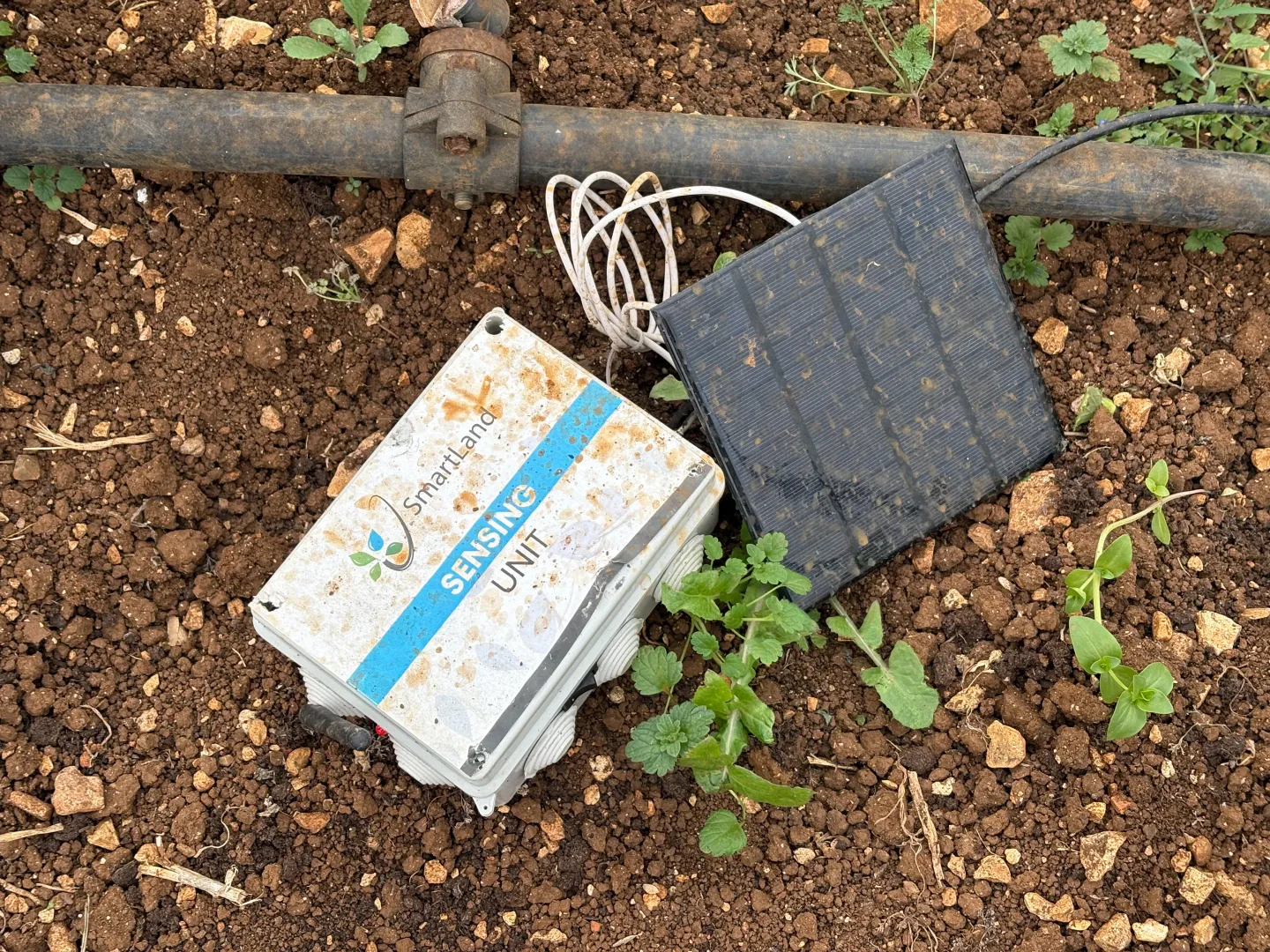 SmartLand Agri’s soil sensing unit installed in the field 