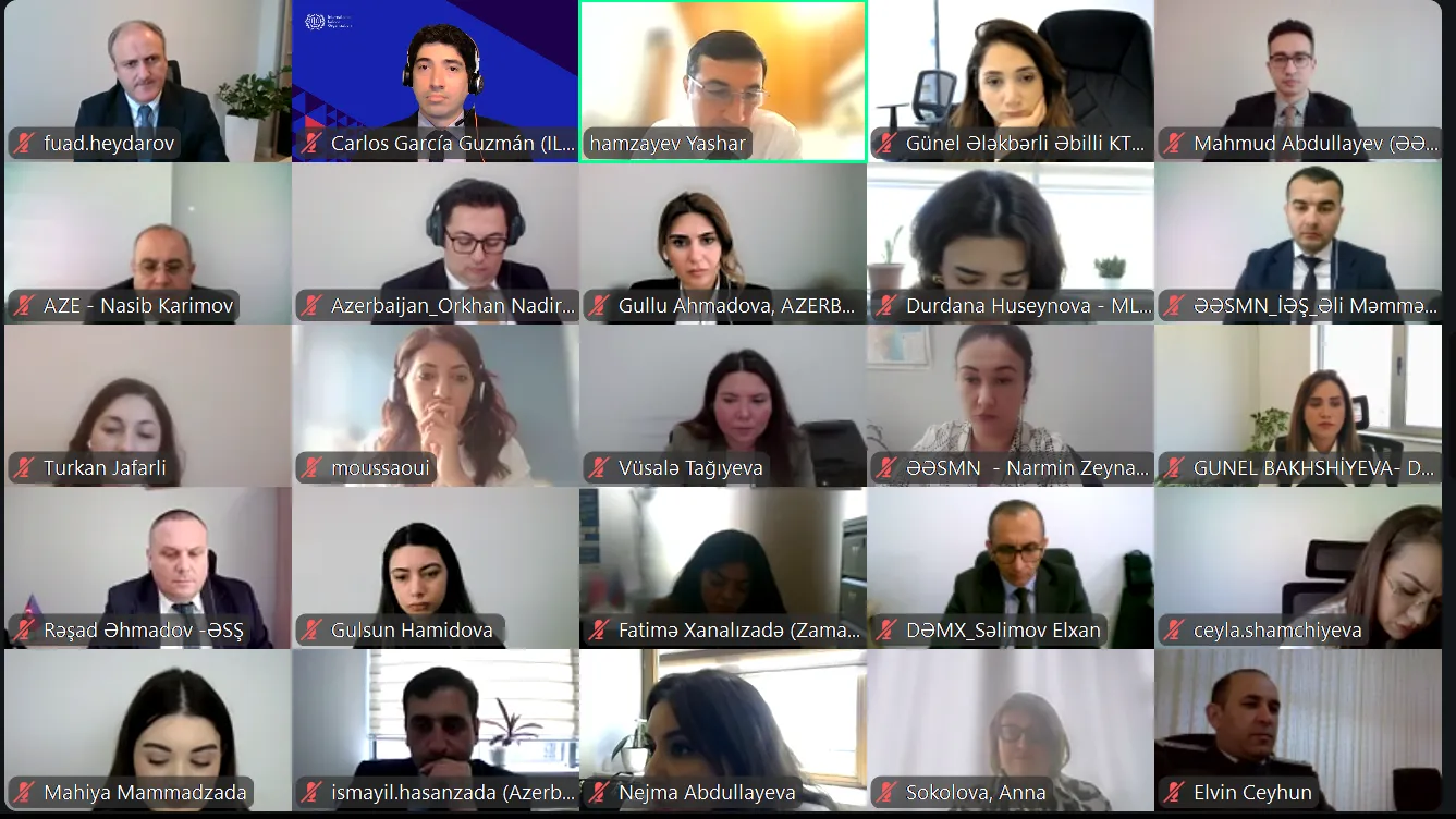 Screenshot of a virtual meeting showing participants