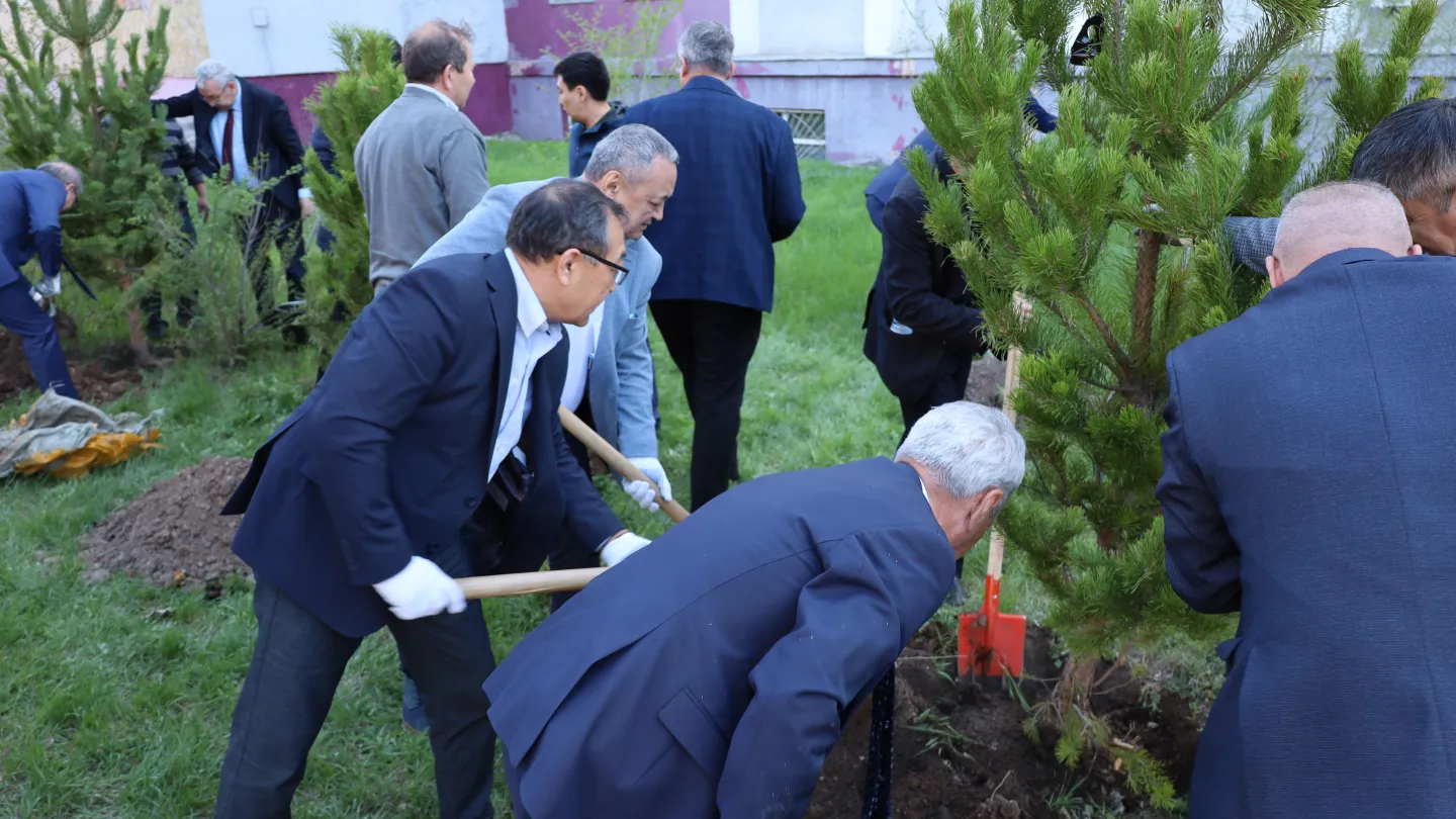 Group of people planting trees