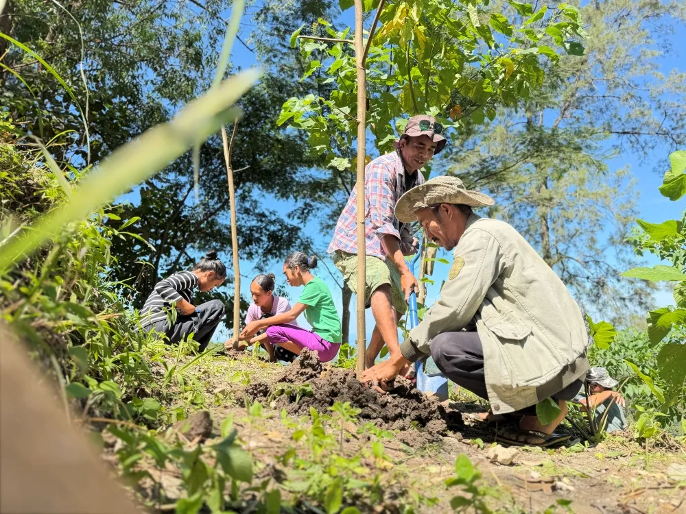 vanilla farmers in the field
