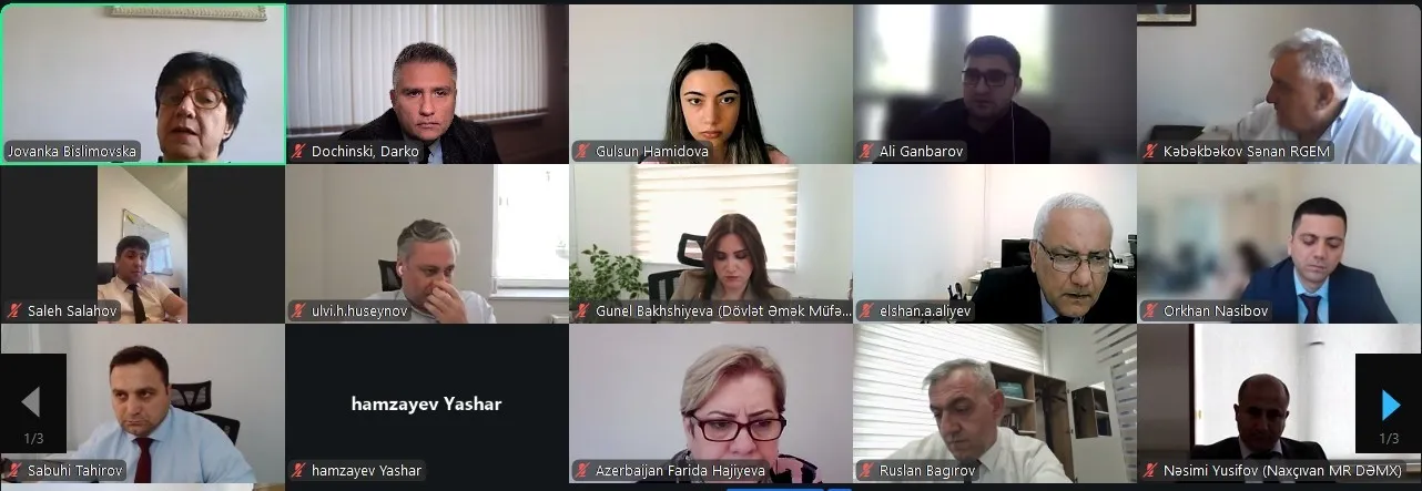 Screenshot of participants of the webinar