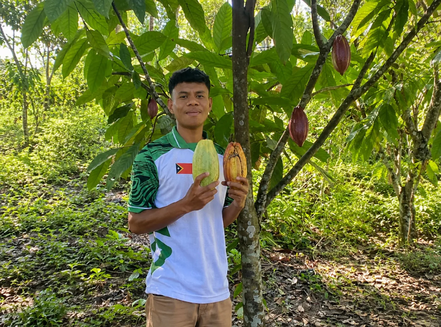 A man standing under the tree