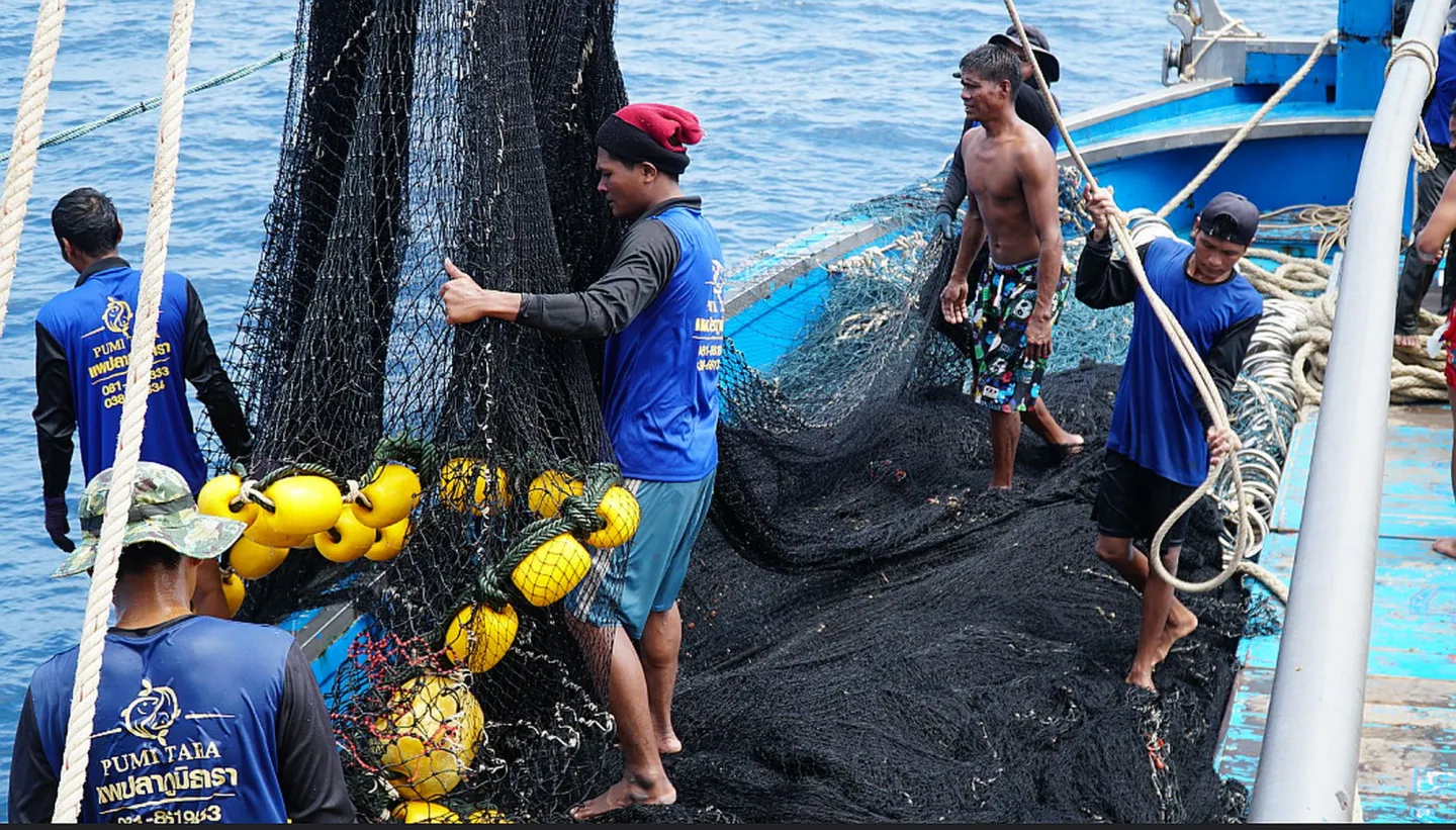 Fishers working