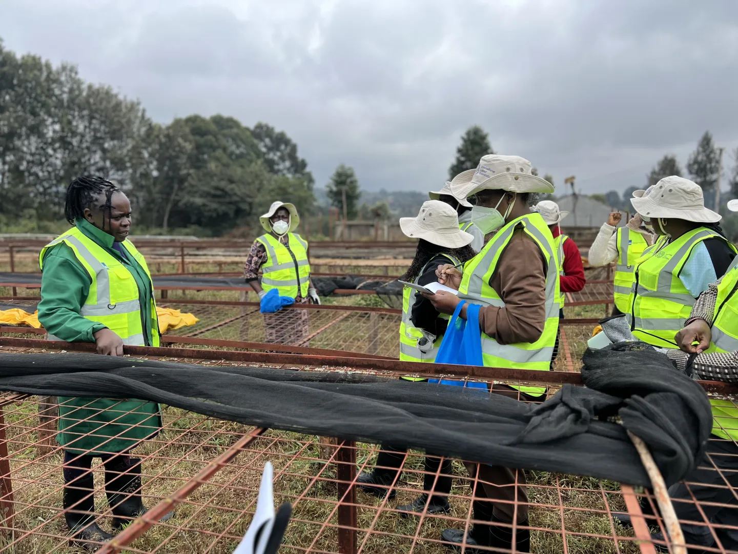 Participants conducted a field exercise on a coffee farm
