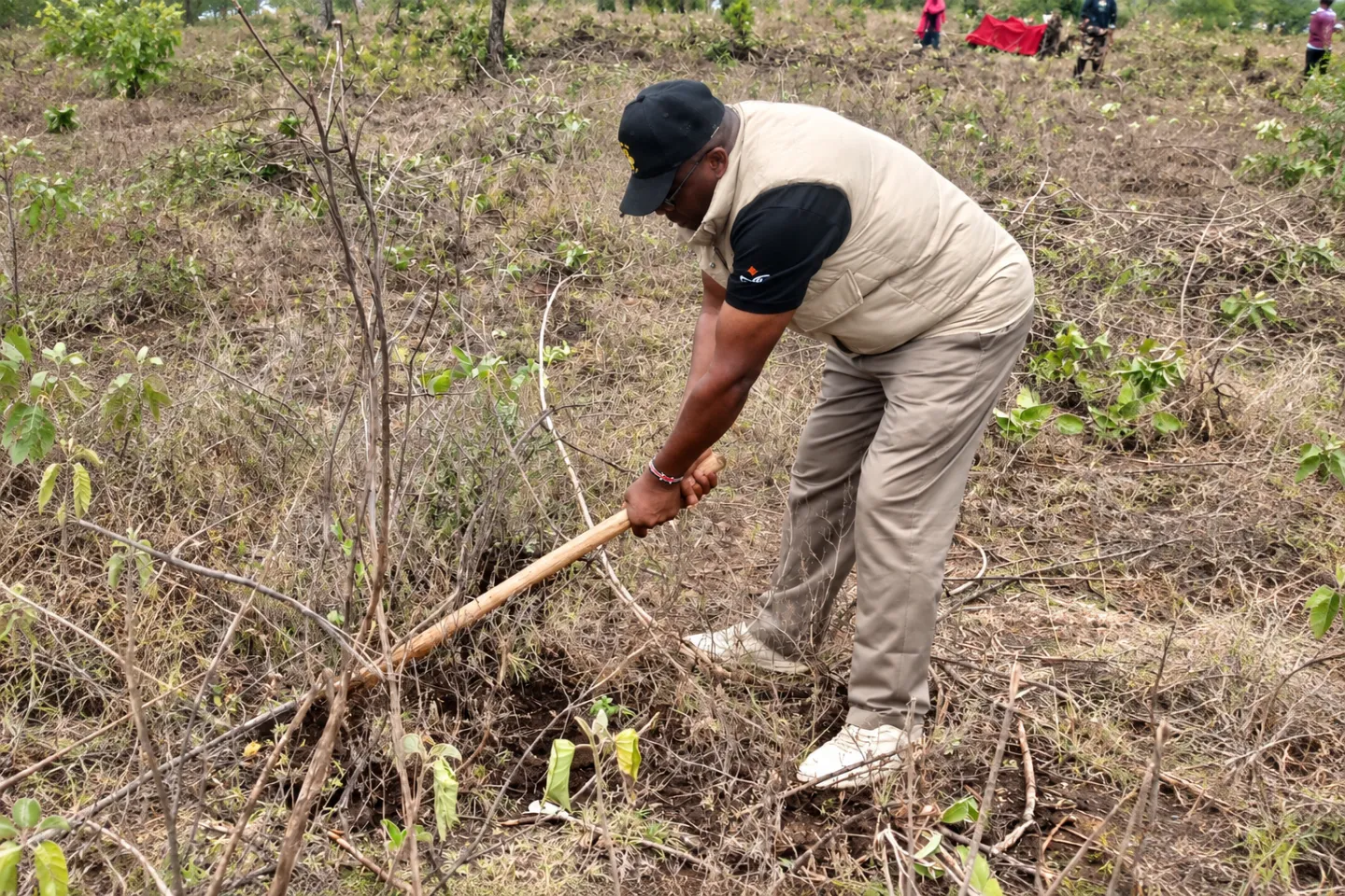 Erick Ahenda manually uproots ipomoea weed during land preparation in Imaroro Ward, Kajiado East Subcounty, Kenya. Field experience like this helped inform the development of Kenya’s first standalone fodder curriculum.