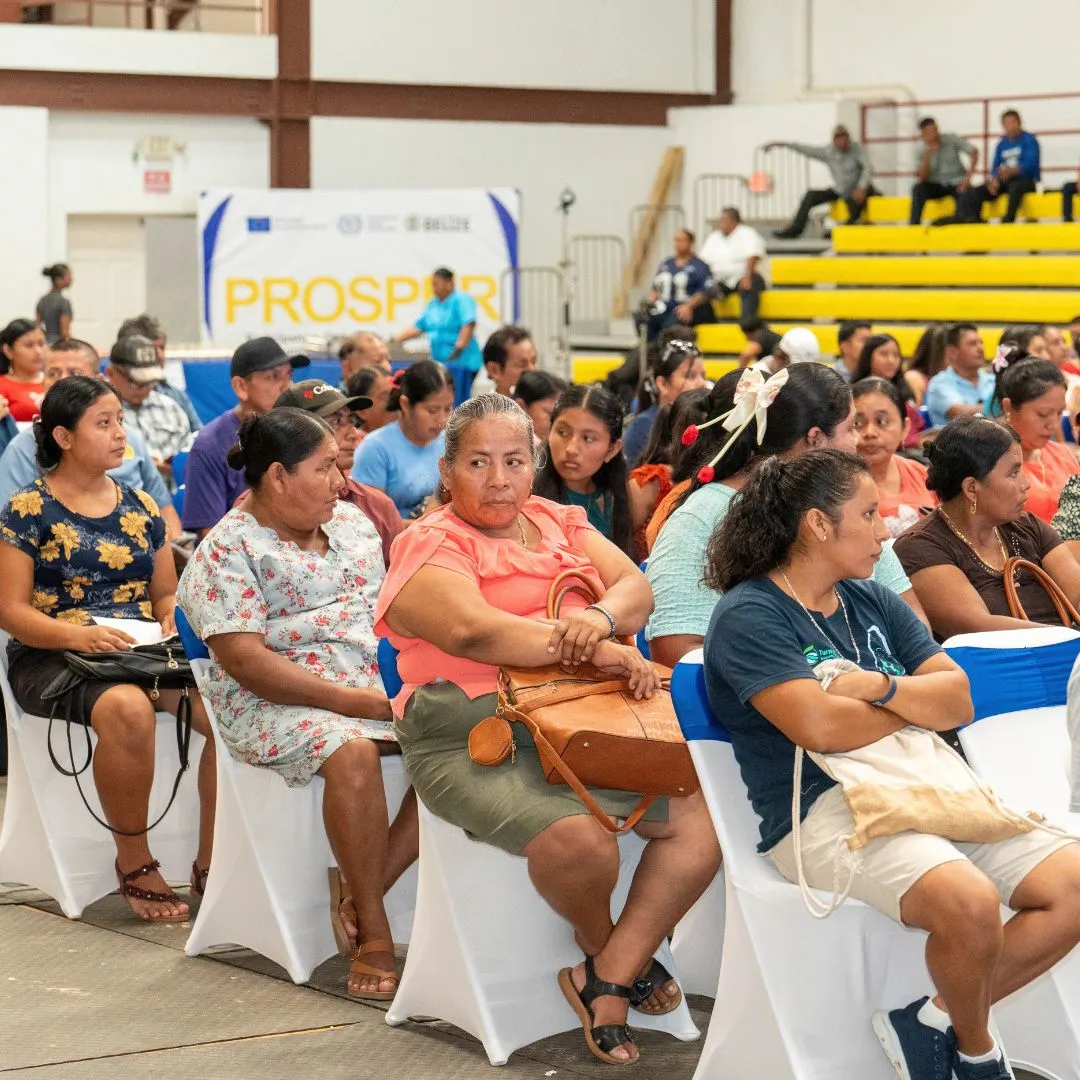 participants sitting on chairs at a function