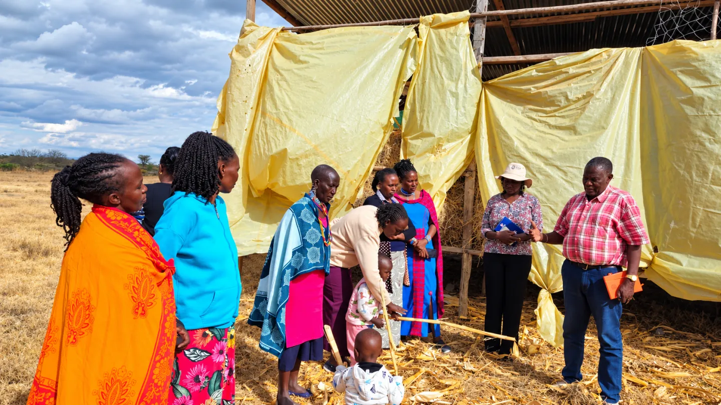 Members of the Enape Women’s Group outside their self-built hay store in Kajiado County with Ilaramatak Cooperative Chairperson Paul Nchake. Ilaramatak is exploring ways to help women’s groups improve hay storage and market access.