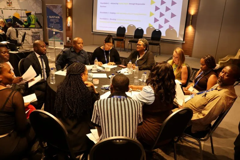 group discussion at the SUSTAIN dialogue in Namibia