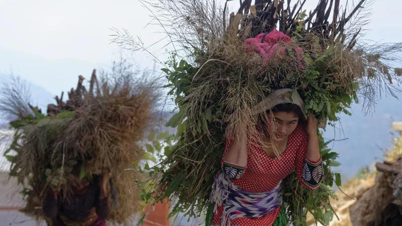 Women in difficult working conditions in the agricultural sector of Nepal 
