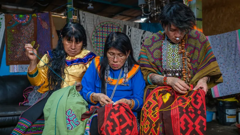 paises andinos cubiertos