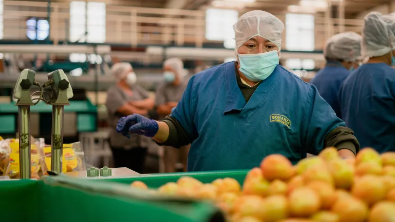 Trabajadoras de campo en Jalisco
