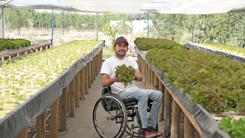 Chilean farmer in a greenhouse