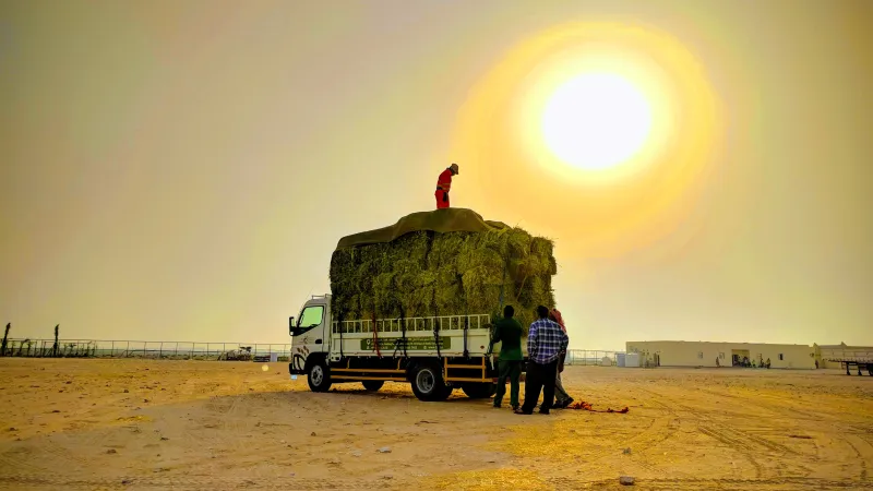 Workers stand next to a truck under the sun