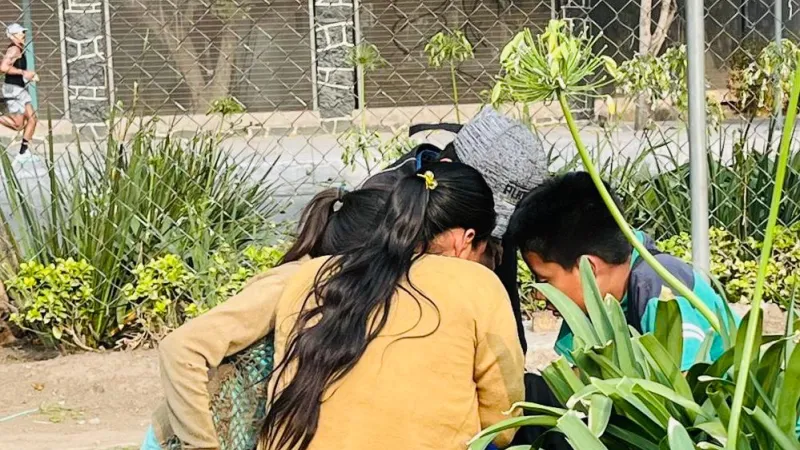 trabajo infantil 
