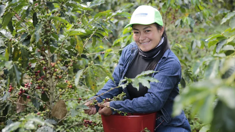 Foto portada OIT y Huila