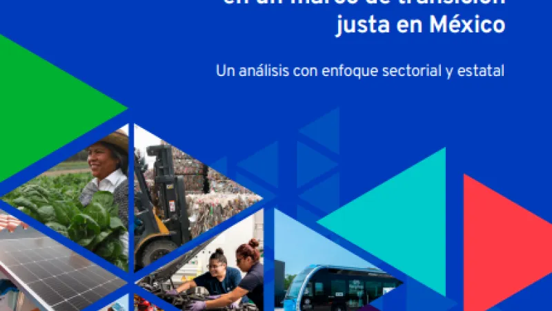 Estudio sobre el potencial para la creación de empleos verdes en México 