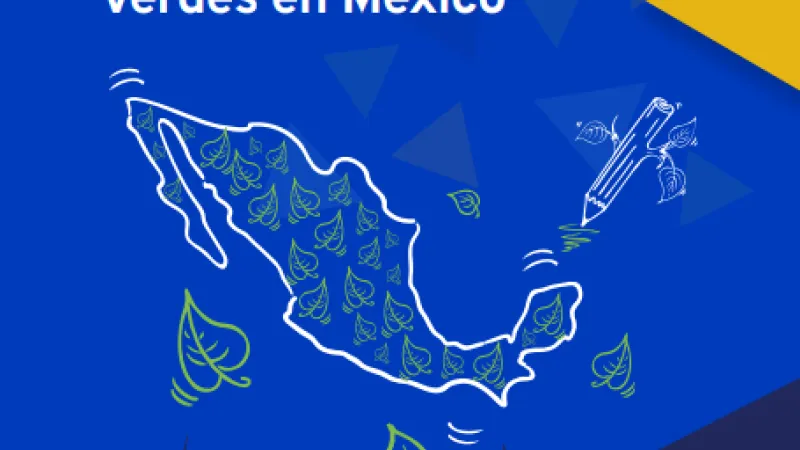 Guía sobre cooperativas verdes en México