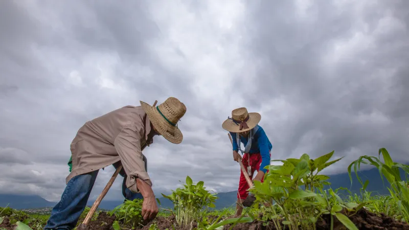 Secretaría de Agricultura y Desarrollo Rural