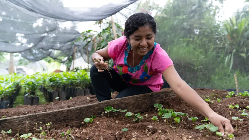 woman planting seeds in a garden